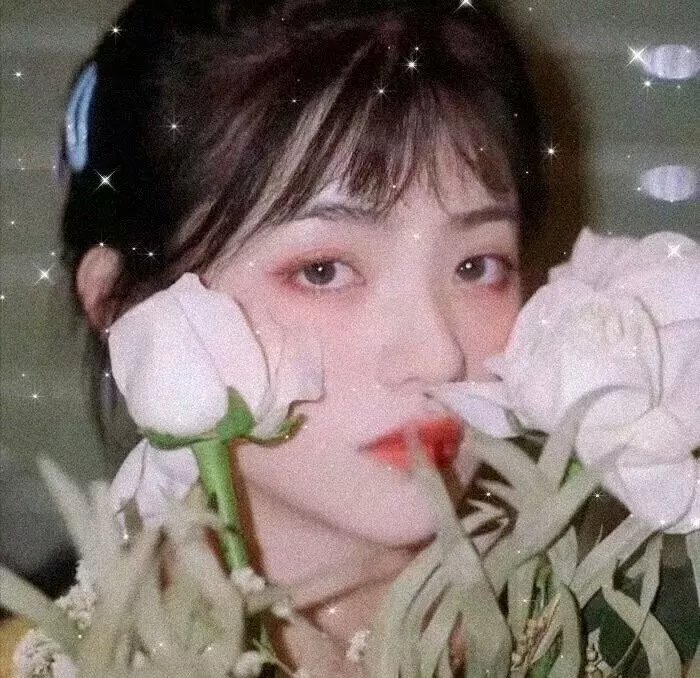 林中迷案